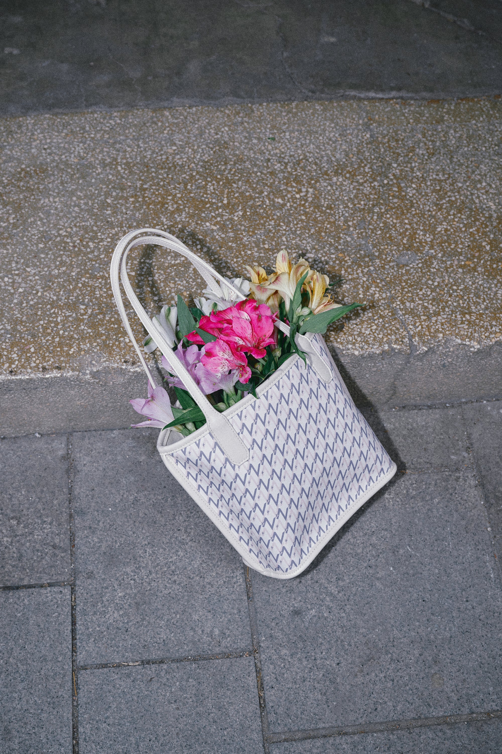 Mini Monogram Tote Bag