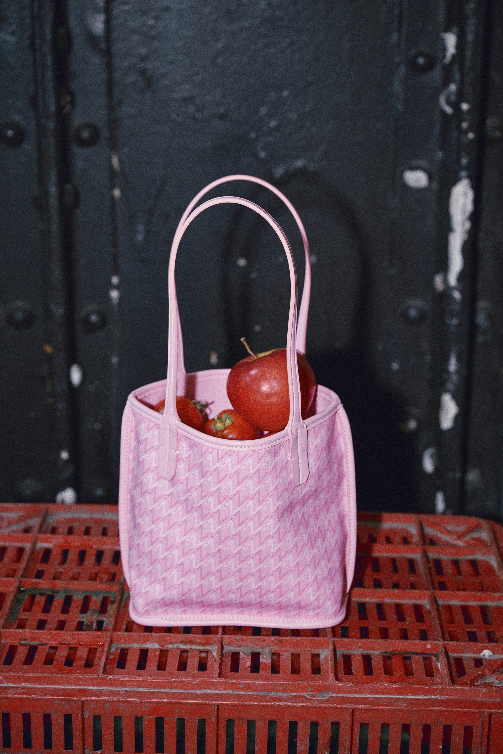 Mini Monogram Tote Bag